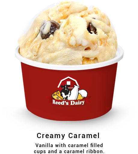 creamys ice cream decal roblox