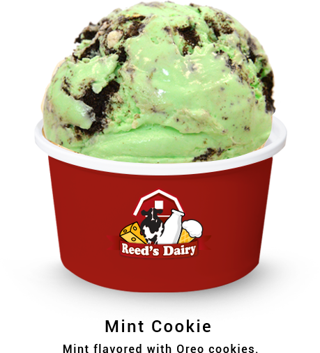 Cup Of Mint Cookie Ice Cream
